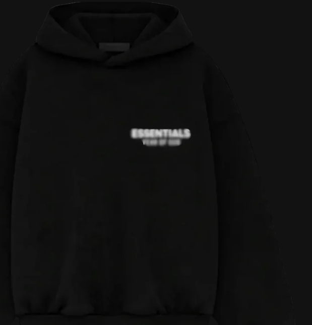 E66ENTIALS HOODIE